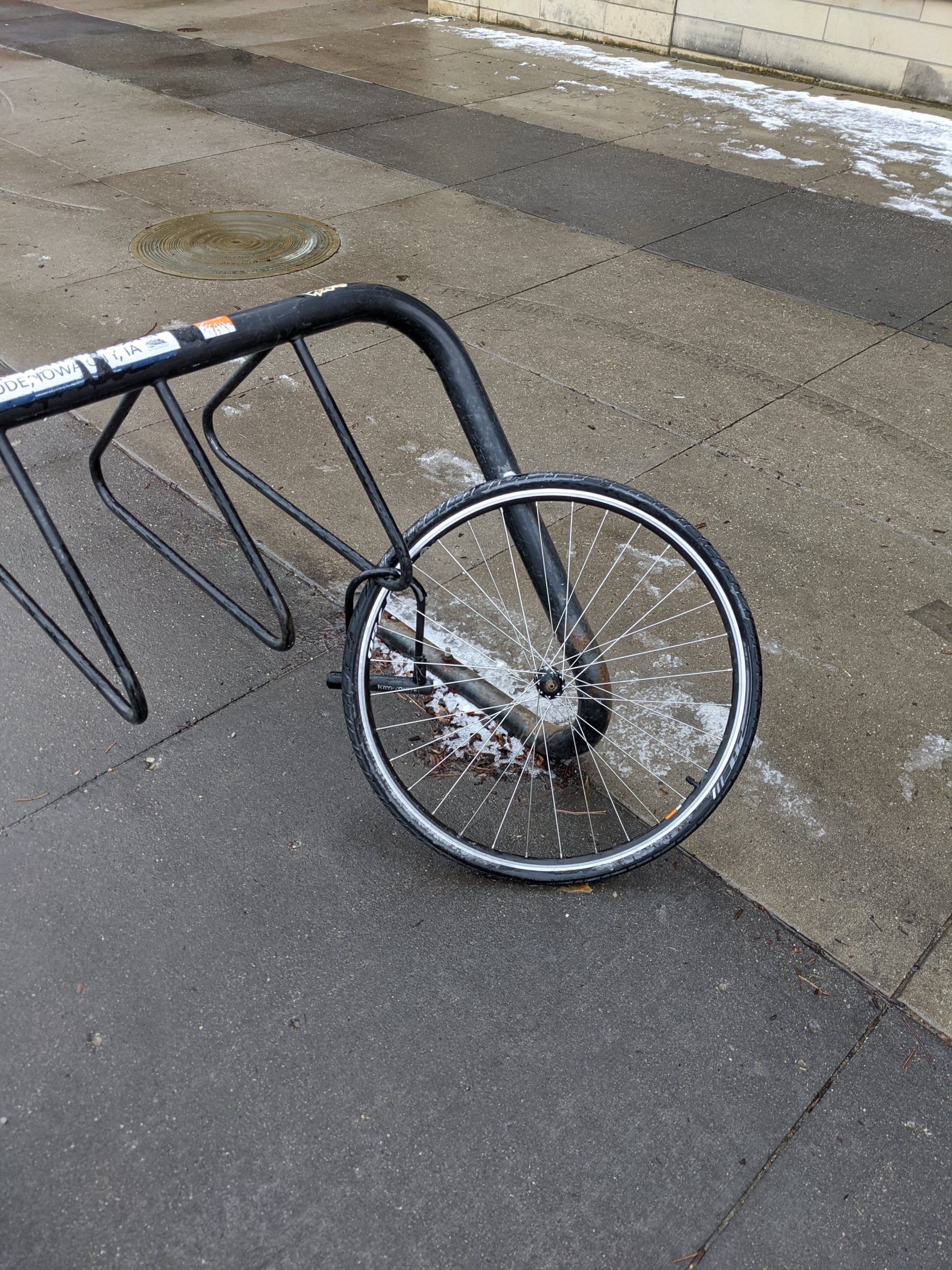 Download the Avoiding Bike Theft E-Book